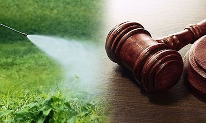 Second Jury Finds Monsanto Glyphosate Causes Cancer