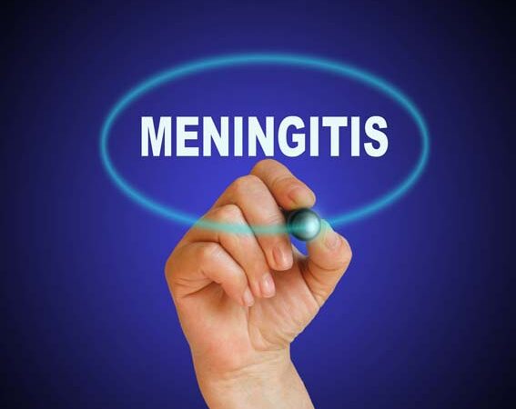 Meningitis Facts