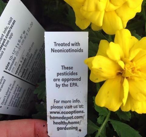 TOXIC Neonicotinoids EPA Approved Bee Killer