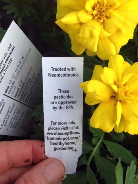 TOXIC Neonicotinoids EPA Approved Bee Killer