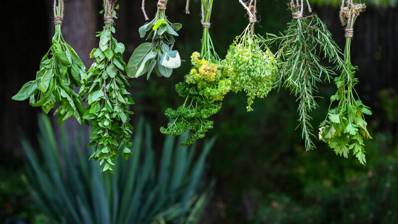 Learn 7 Simple Ways to Get More from Herbs