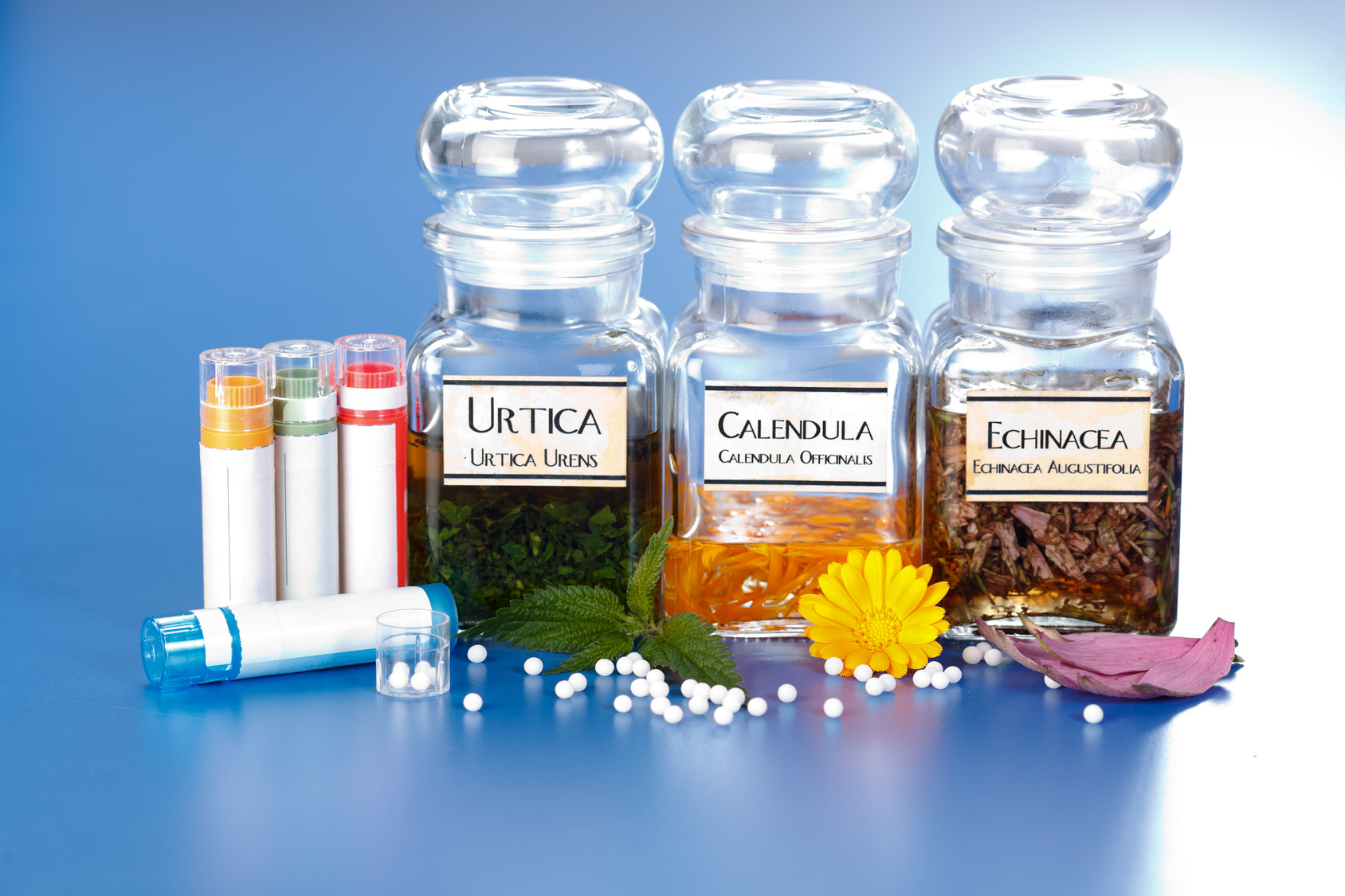 Easy Homeopathy: Homeopathic First Aid for the Whole Family