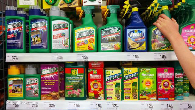 Weed killer found contaminating most popular US foods