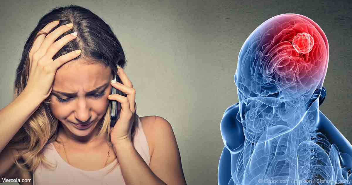Cell Phones Harm our Cells and Can Trigger Chronic Disease
