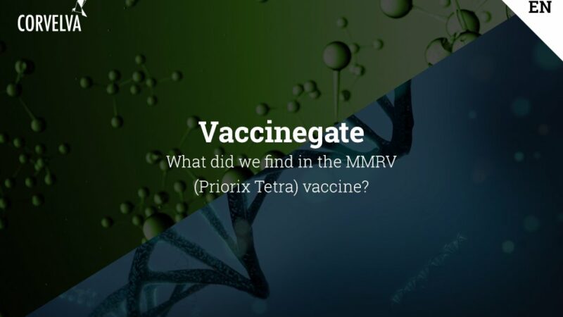 MMRV Contains 100 Chemical Contaminants and DNA of Male Human Being