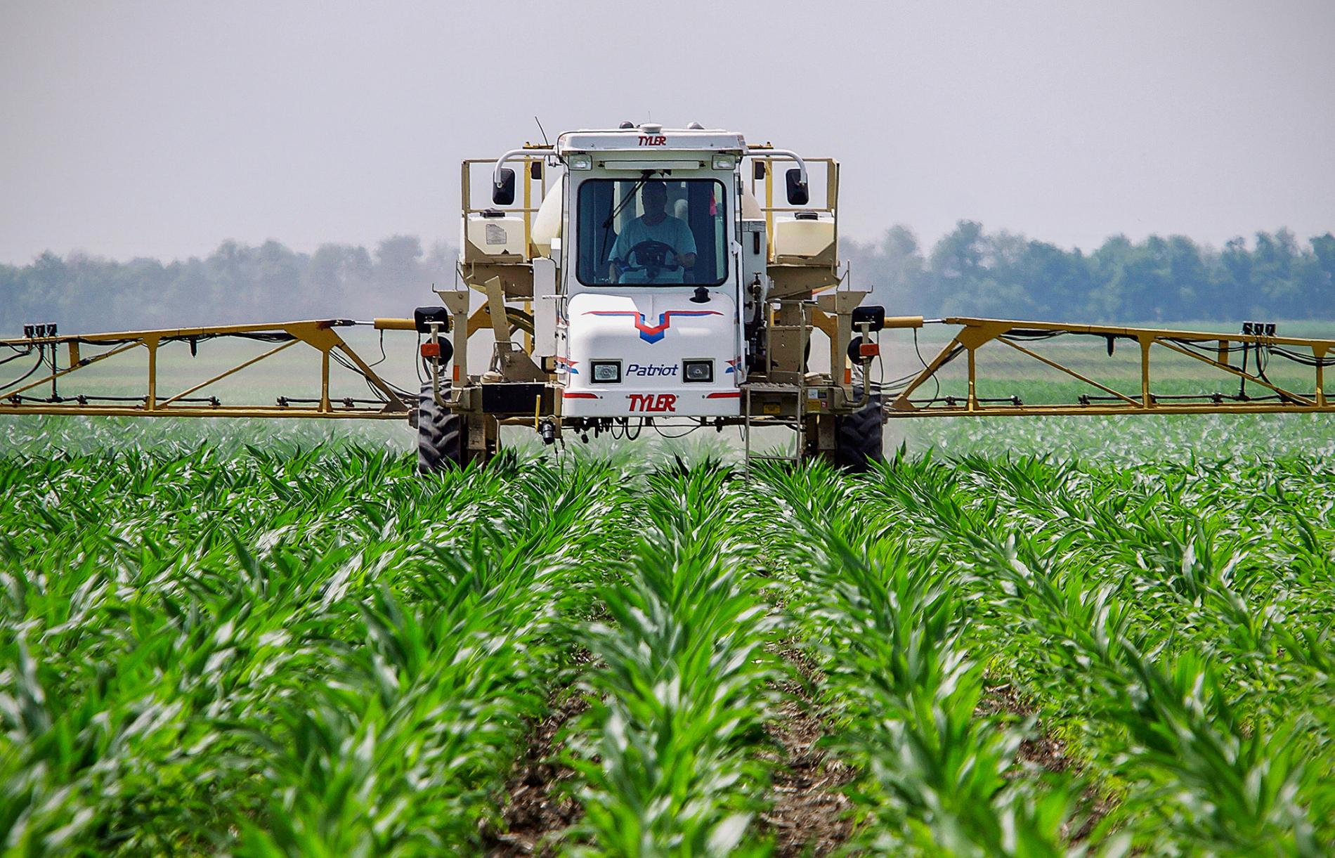 What Do We Really Know About Roundup Weed Killer? What can we do about it?