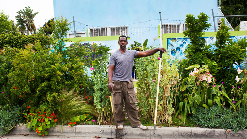 Guerrilla Gardeners. Rebuilding Communities Growing Independence.