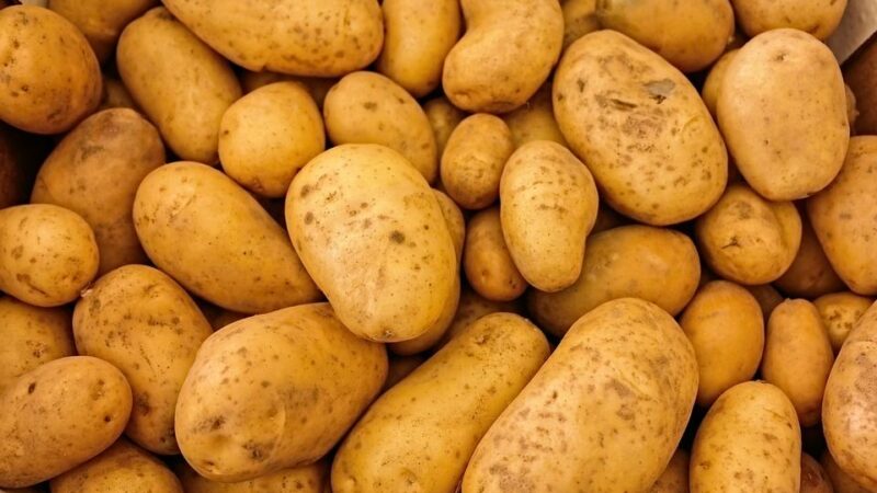 How to Harvest 100 Pounds of Potatoes From Just 4 Square Feet of Space