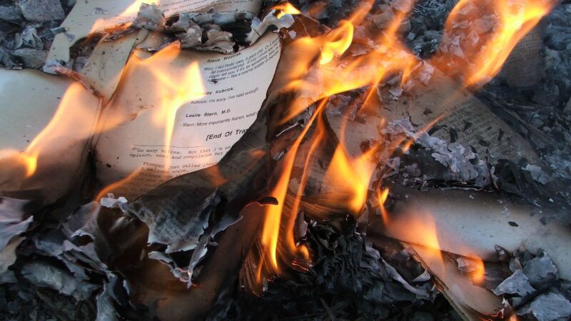 Modern-day book burning by the Internet Gestapo