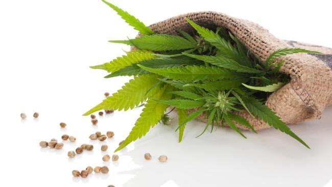 8 Medicinal Benefits of Cannabis