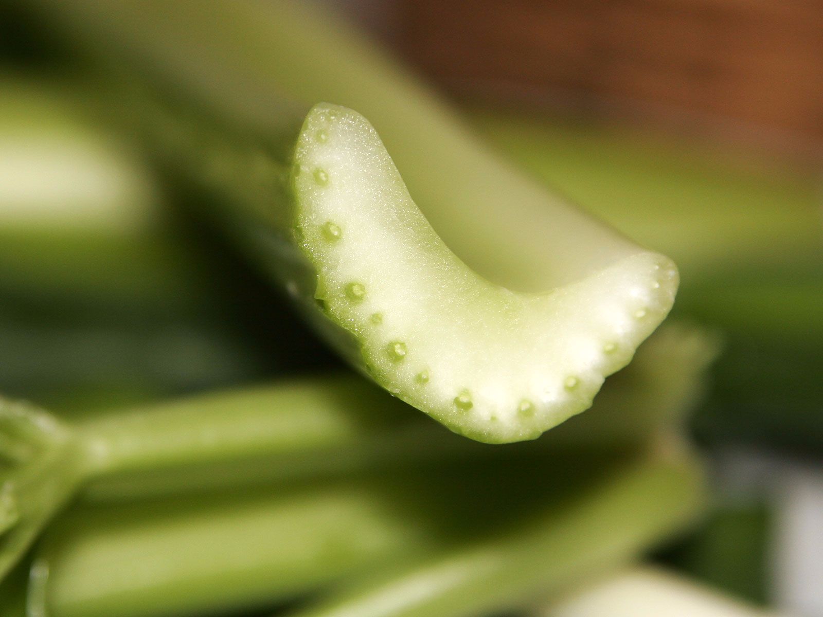 Celery: Nutritional Superhero