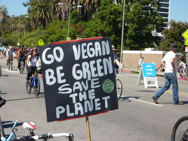 Going Vegan To Save the Planet? Consider Going Organic.