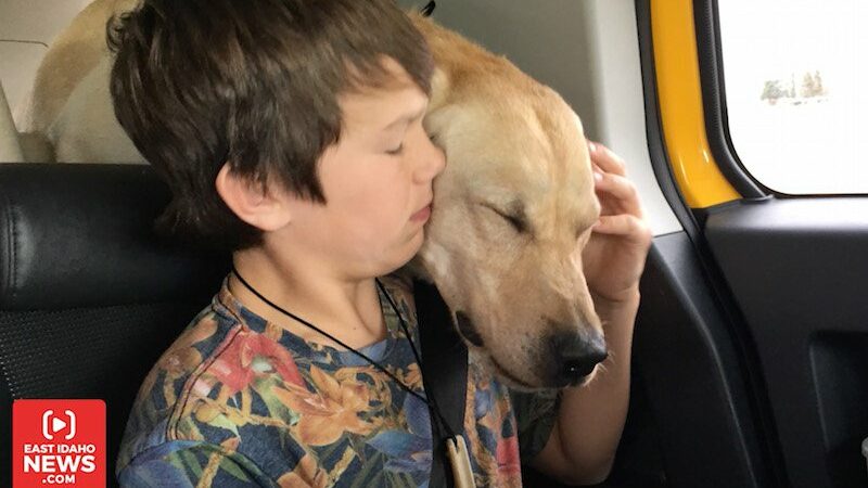 Idaho boy sprayed by cyanide planted by US Department of Agriculture, dog killed