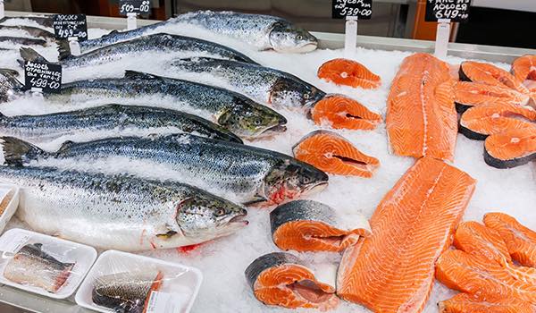 Farmed Salmon — One of the Most Toxic Foods in the World