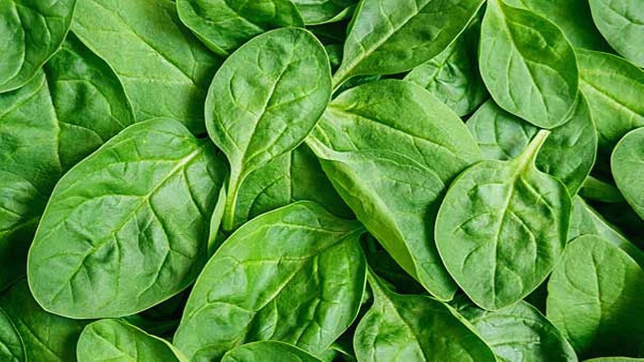 Get Your Kids To Eat: Spinach
