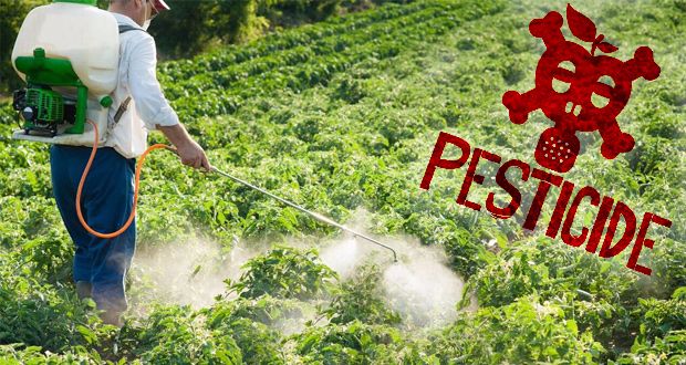 The Problem with Pesticides
