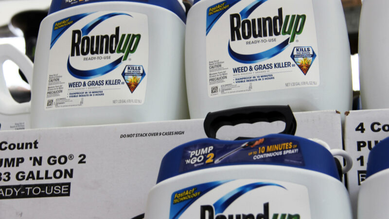 Monsanto Faces Man Dying of Cancer in Roundup Trial