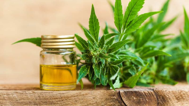 URGENT STOP H122 Preserve Access to CBD and  Hemp Products