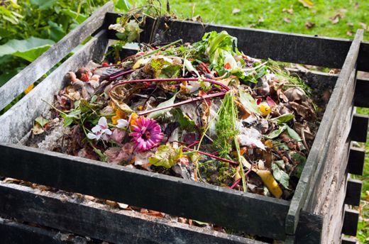 The Scoop on Composting