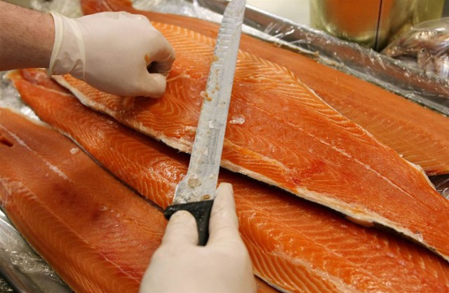 Farmed Salmon the Dirty Secret