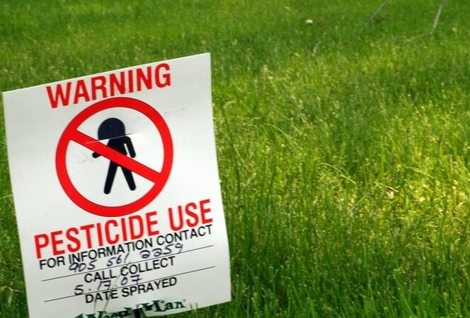 Pesticides: the Big Picture