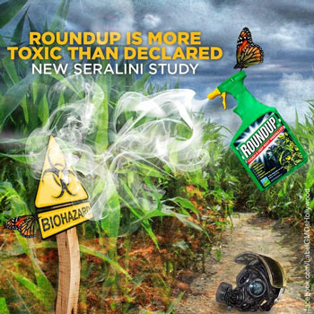 Round Up Toxicity: It’s NOT just the carcinogen glyphosate