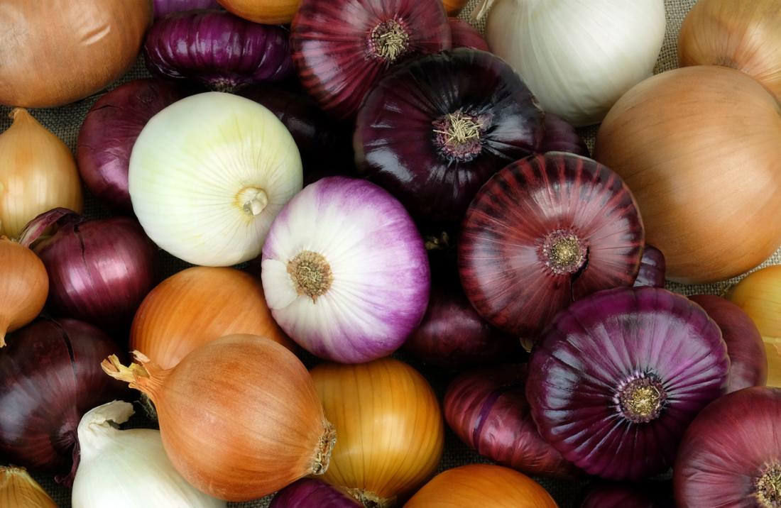 The Nutrient Rich Onion