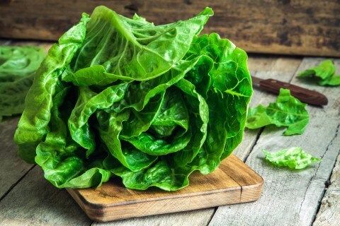 Get Your Kids To Eat: Romaine