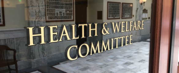 Idaho SENATE Health & Welfare Committee 2020