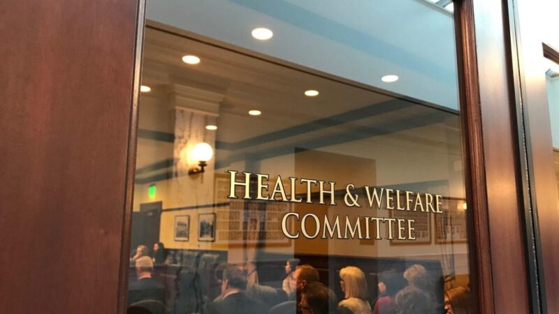 Idaho Health Committees 2023