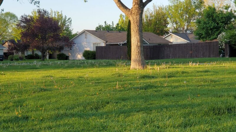 Boise Parks Reduce the Herbicide Use